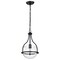 Nuvo Amado 1-Light Pendant 10 in. Matte Black Clear Glass 60/7817 - alternate 1